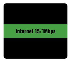 internet 15/1 mbps MolTelecom