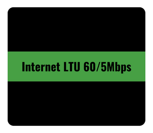 Internet LTU 60/5 mbps MolTelecom