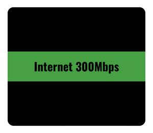 Internet 300 mbps MolTelecom