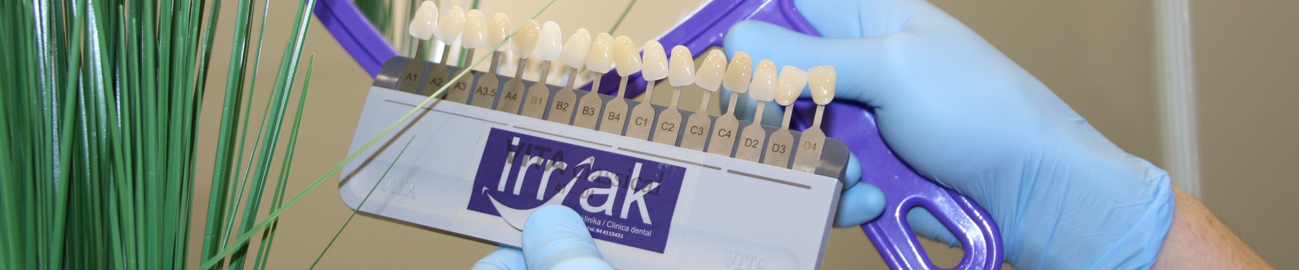 Estética Irriak Hortz Klinika Clínica Dental