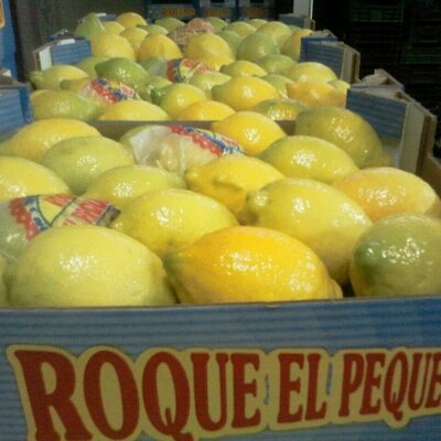 frutas-roque-el-pequeñin-limones-de-murcia-2