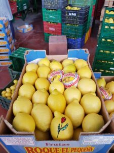 frutas-roque-el-peuqeñin-embalaje-limones-murcia