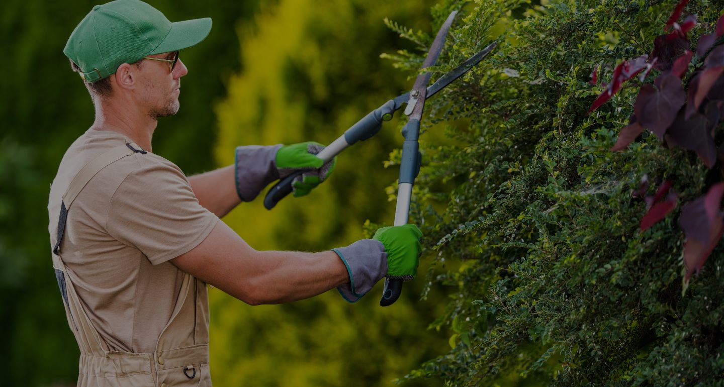 Experiencia de más de 20 añosLimpiezas, Jardinería y Pavimentos Sita